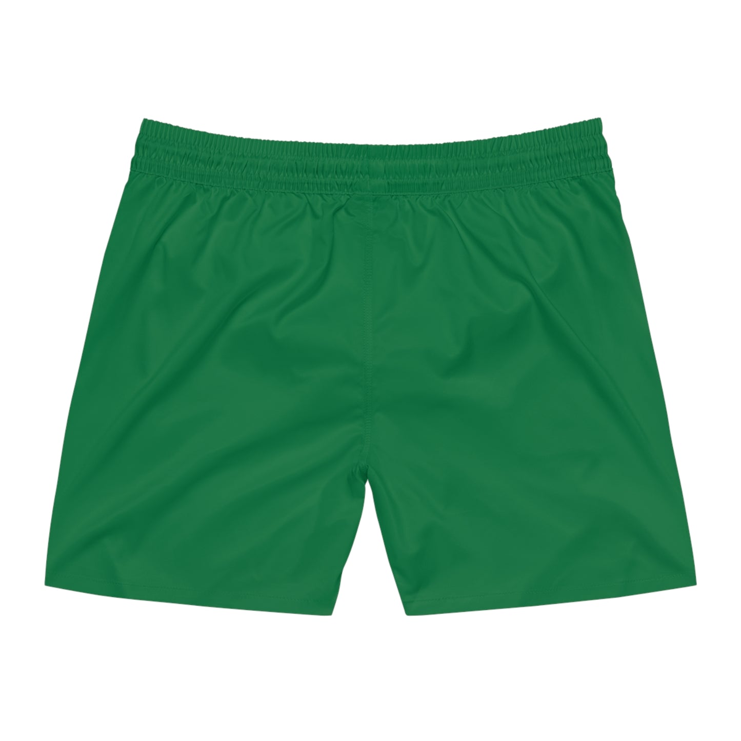 Green BW Stripe Swim Trunks